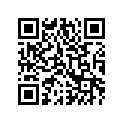 0411-243 DECAL,GRAPHIC-400 2X4 LH GREEN