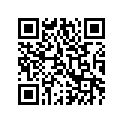 0411-263 DECAL,GRAPHIC-2X FR GREEN