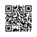 0411-300 DECAL,GRAPHIC-FR (4X GREEN)