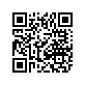 0411-301 DECAL,GRAPHIC-FR (4X RED)