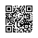 0411-308 DECAL,GRAPHIC-RH (300 GREEN)