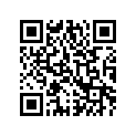 0411-316 DECAL,GRAPHIC-RH (500 GREEN)