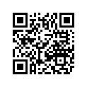 0411-365 DECAL, GRAPHIC,-RH (RD)