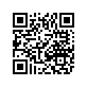 0411-386 DECAL,