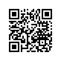 0411-450 DECAL, GRAPHIC - UPPER LH