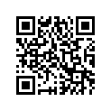 0411-507 DECAL, DURAMATIC