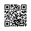 0411-516 DECAL, GRAPHIC - LEFT SIDE