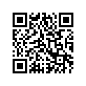 0411-521 DECAL, GRAPHIC - RIGHT SIDE