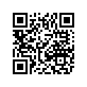 0411-528 DECAL, GRAPHIC - FRONT