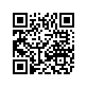 0411-530 DECAL, GRAPHIC - FRONT