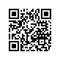 0411-531 DECAL, GRAPHIC - FRONT