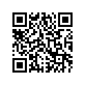 0411-557 DECAL, GRAPHIC - REAR