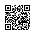 0411-602 DECAL, GRAPHIC - SIDE RH
