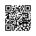 0411-645 DECAL,