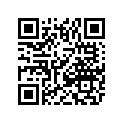 0411-772 DECAL,GRAPHIC-FRONT  (05 400 LIME)