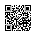 0411-776 DECAL,GRAPHIC-SIDE RH   (05 GREEN)