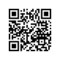 0411-794 DECAL, GRAPHIC-SIDE RH(05 2X4 GRN )