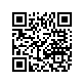 0411-981 DECAL,GRAPHIC-FRONT (05 400 BLACK)