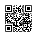 0411-985 DECAL,GRAPHIC-SIDE (BLACK)