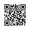 0411-999 DECAL,GRAPHIC-SIDE LH(RED)