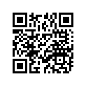 04111-30308-000 Key, Straight