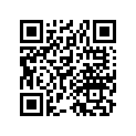 04305-918-010EK Case *g26*