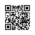 0431822 PIV PIN & SLIDE AY