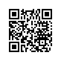 0432009 DECAL SET