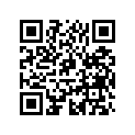 0432573 ( Metallic Gray)