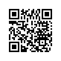 0432638 LEVER & PIN AY
