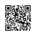 0433003 Piston .030 - Port