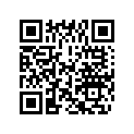 0433704 ( Metallic Gray)