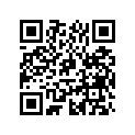 0438451 DECAL AY,SET