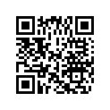 0439768 DECAL AY,SET