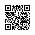 0439834 LEVER,PIN&LKNUT AY