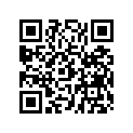 0450110 PLUNGER-STARTER,17215-117-000
