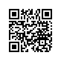 0450153 Plug-oil