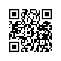 0450343 Band-rubber (battery)