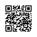 0450447 NUT-FLANGE(10)