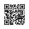 0450653 Washer-plain*