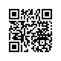 0450654 WASHER-PLAIN(10)