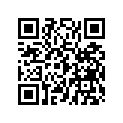 0452407 CAM CHAIN