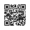 0452847 GEAR-METER