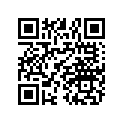 0452894 Mirror-lh