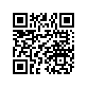 0452895 Mirror-rh