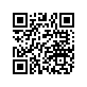 0453221-385 Bumper-silver ([vb] )