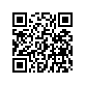0453785-133 SUBSTITUTED BY 0454251-133