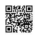 0455110 PIN-PISTON