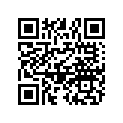 0455111 PISTON-110
