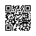 0455155 PAD-RUBBER